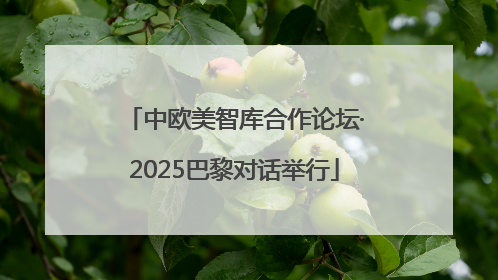 中欧美智库合作论坛·2025巴黎对话举行
